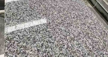 北海 芙蓉白光面