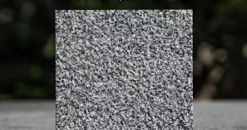 北海 芝麻黑荔枝面