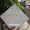 北海 芝麻白荔枝面干挂