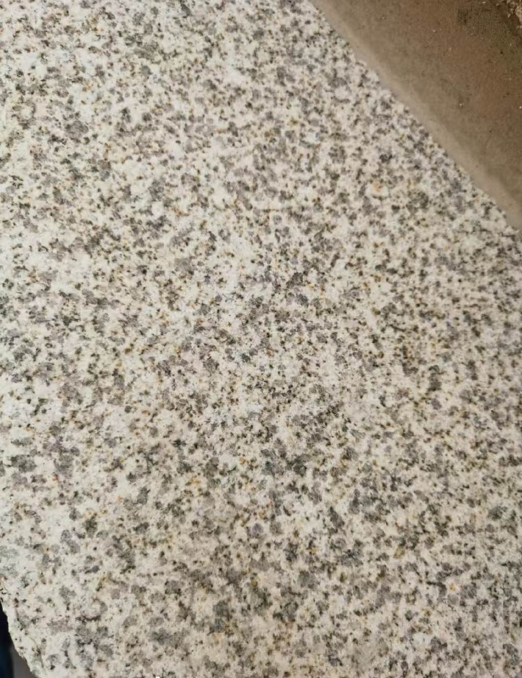 北海 黄金麻中黄光面