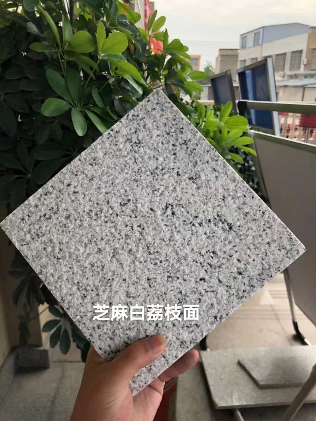 北海 芝麻白荔枝面干挂