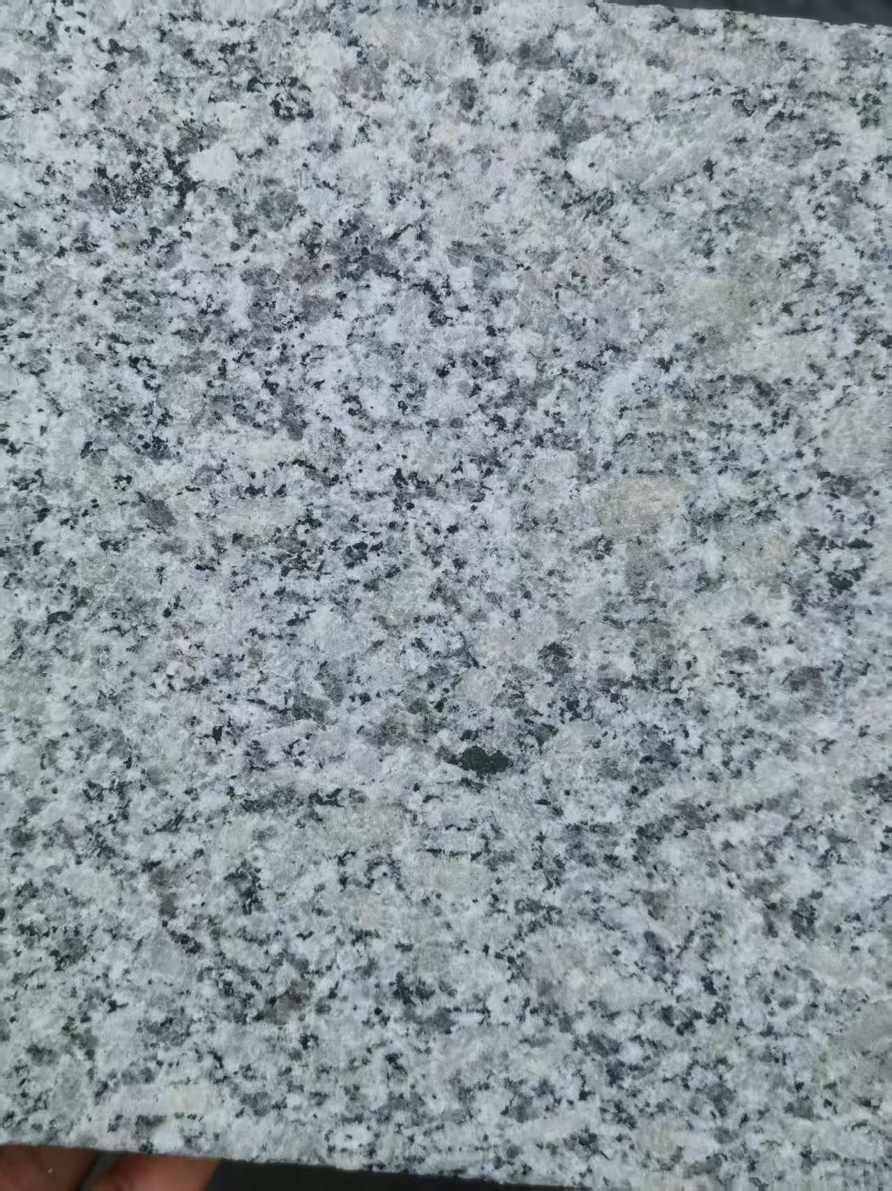 北海 芙蓉白火烧面